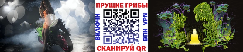 даркнет клад  Барыш  Галлюциногенные грибы прущие грибы 